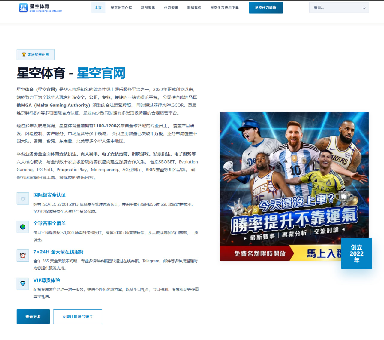 本泽马在沙特联赛的表现与新队友默契度深度分析