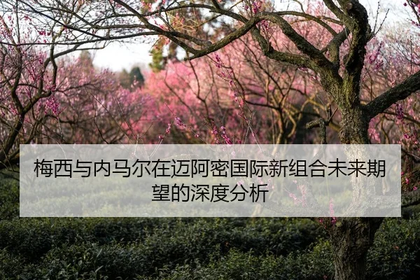 梅西与内马尔在迈阿密国际新组合未来期望的深度分析