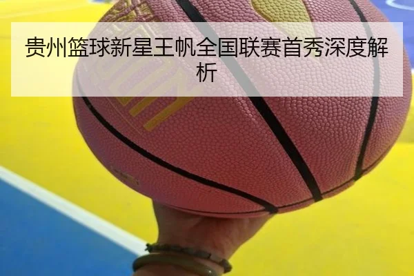 gui-zhou-lan-qiu-xin-xing-wang-fan-quan-guo-lian-sai-shou-xiu-shen-du-jie-xi-2-301.jpg